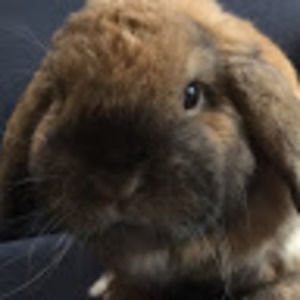 Meet your Posher, Leah